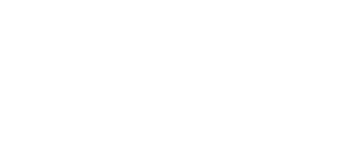 Hawk Mesh